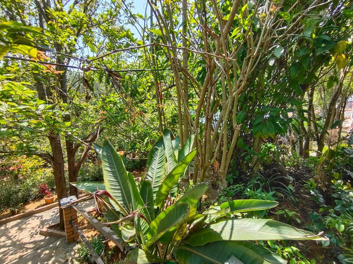 Silver Spruce Entire Nature Villa Kotagiri Exterior foto